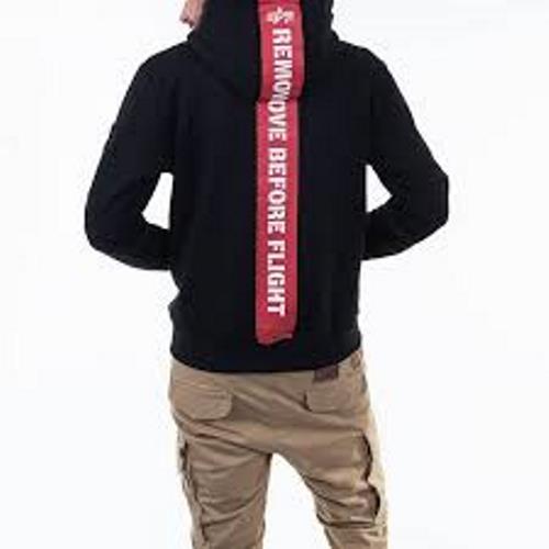 Alpha industries 2024 stripe hoodie