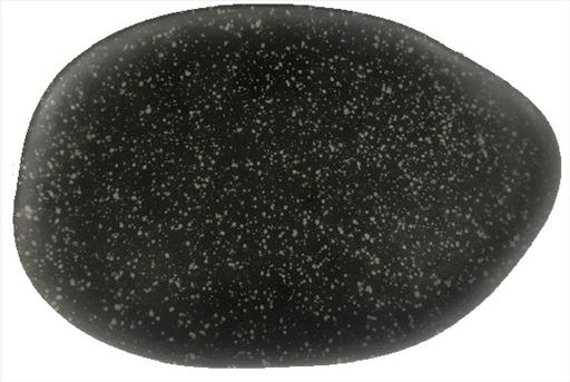 ALAR – COSMOS SERIES OVAL PLATE 30.5×20 CM