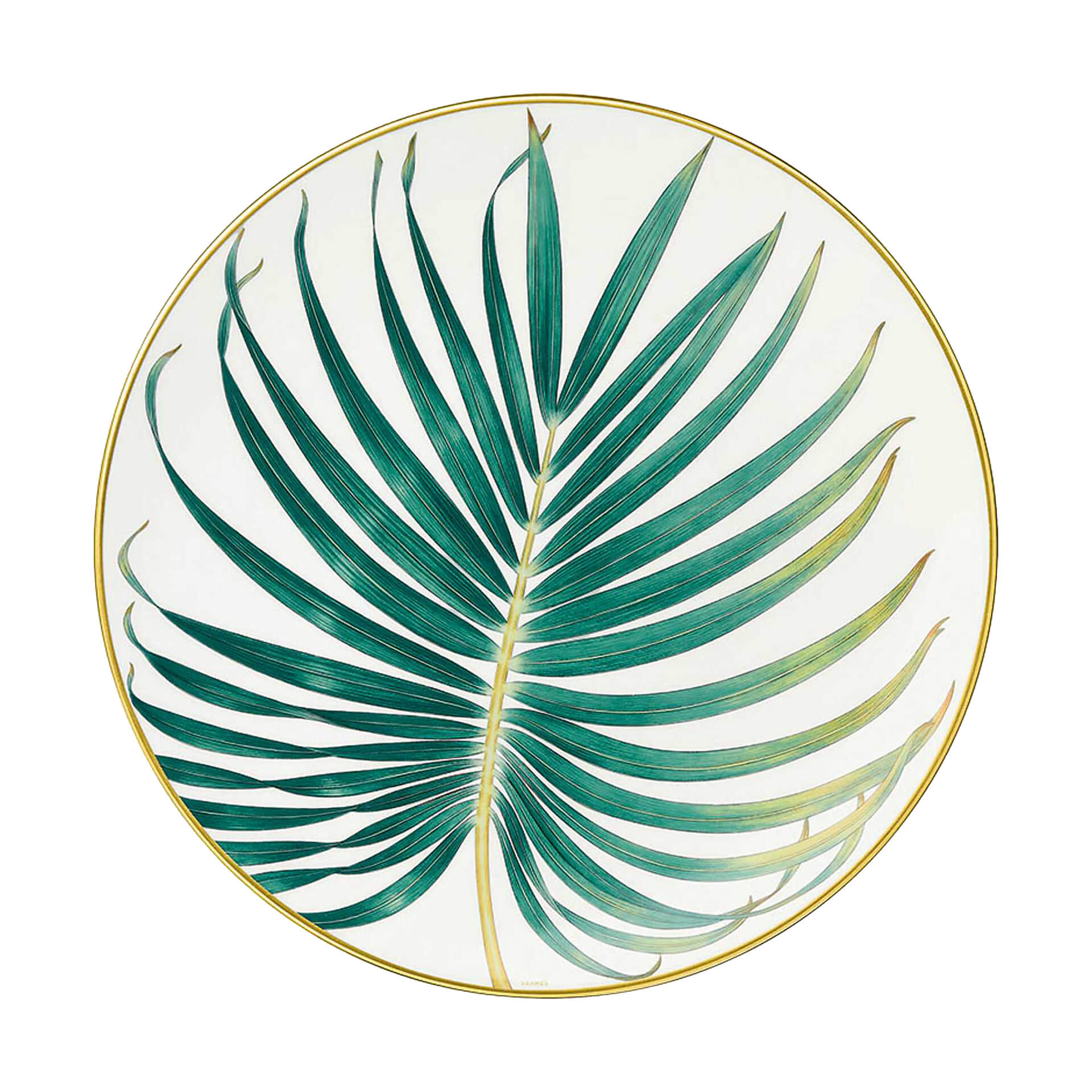 Passifolia dinner plate palm Hermès