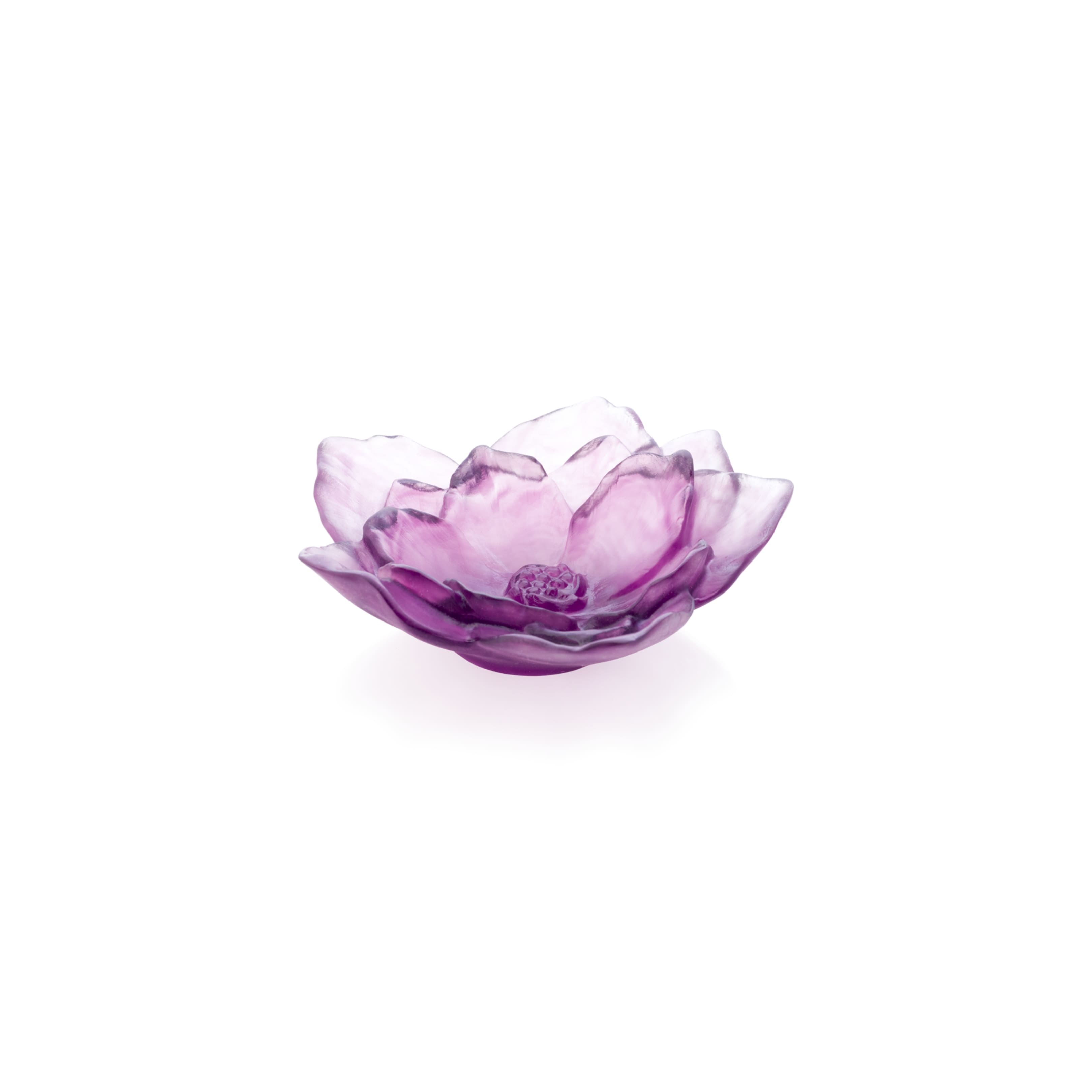 Small Camellia Purple Bowl Daum