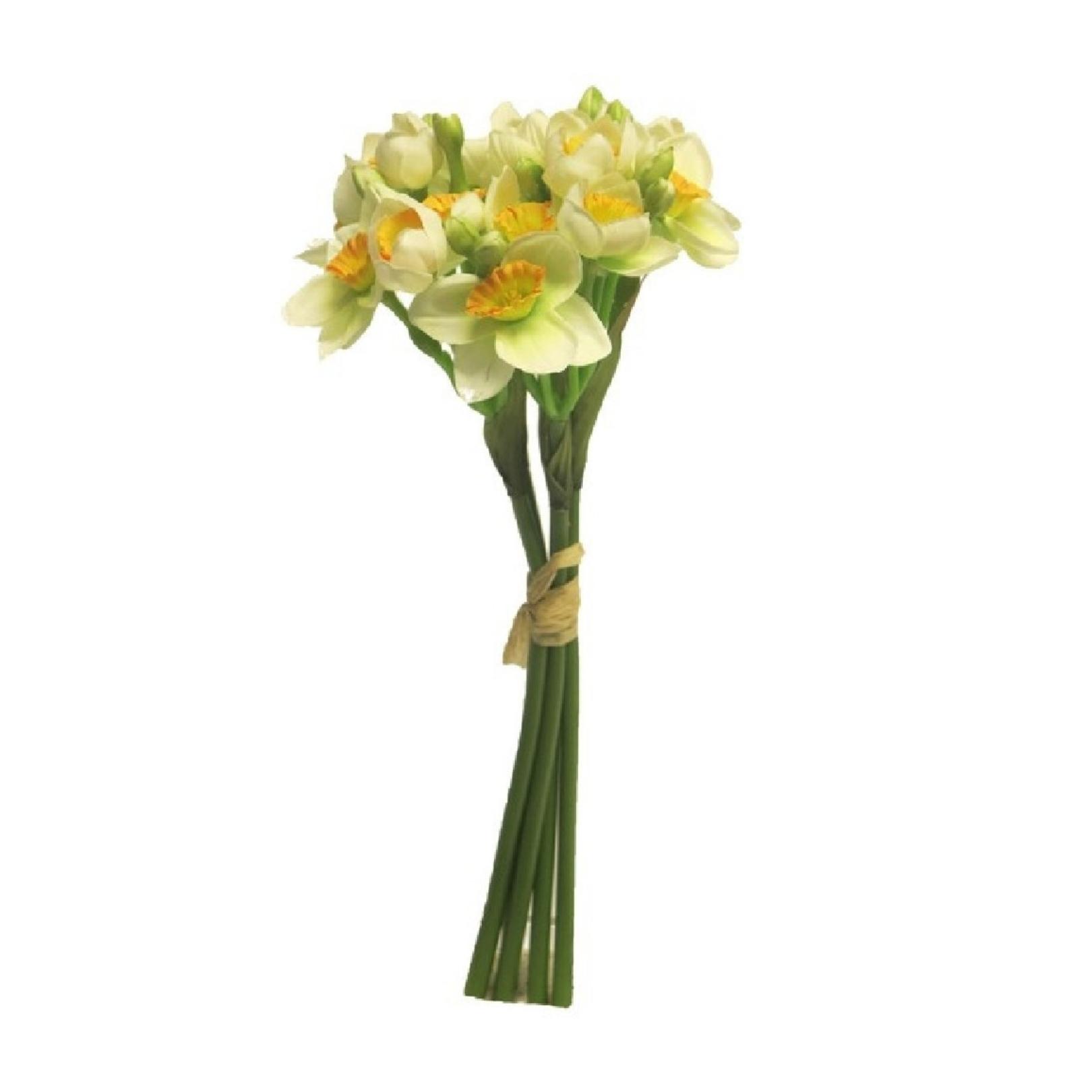 Narcissus Stint Bundle Orange 32 cm Exner