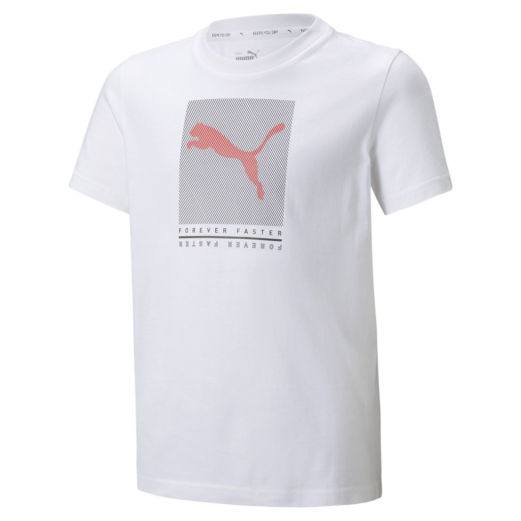 sports t shirt puma