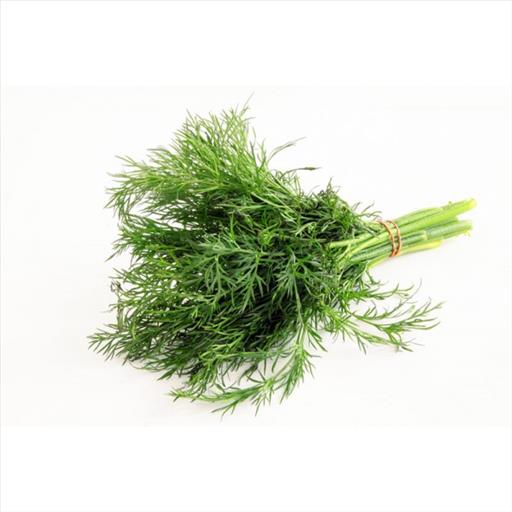DILL BUNCH anithos