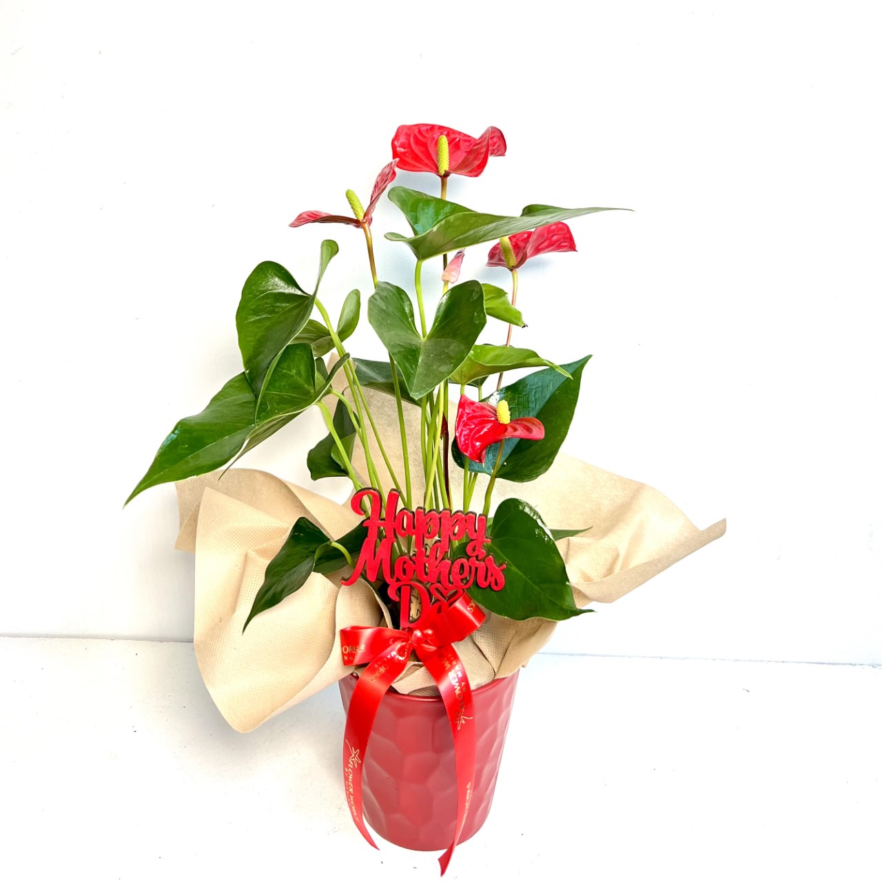 anthurium-for-mummy-flower-works-by-marina