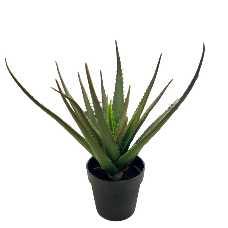Cactus Aloe Vera – 56 Cm